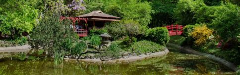 Minikönyvtárak várják a látogatókat a kolozsvári botanikus kertben