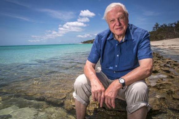 David Attenborough-t a Föld bajnoka címmel tüntette ki az ENSZ