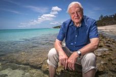 David Attenborough-t a Föld bajnoka címmel tüntette ki az ENSZ