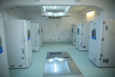 A következő három hónapban további 9 millió adag Covid elleni vakcina érkezik az országba