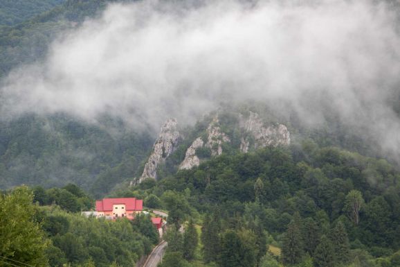 Ciucă a Föld napján: a jövőt a tiszta környezet, az erdősítés, a megújuló források használata biztosítja