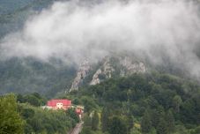 Ciucă a Föld napján: a jövőt a tiszta környezet, az erdősítés, a megújuló források használata biztosítja