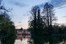 Kanadai ludakat fedeztek fel a kolozsvári sétatéri tavon