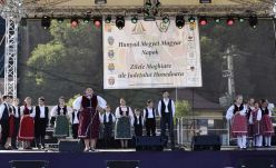 Oktatással és kultúrával a megmaradásért – Melyek a népszámlálás tétjei Hunyad megyében?