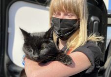 Öt év után egy tengeri olajfúrótornyon találták meg az eltűnt macskát