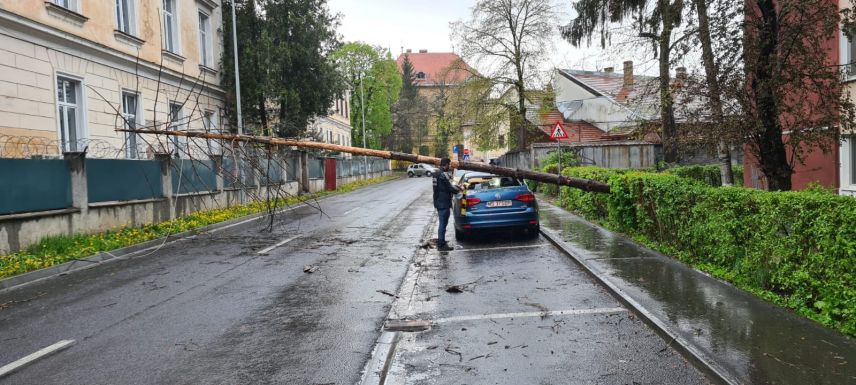 Fákat csavart ki, tetőket rongált meg a hétfői vihar Maros megyében