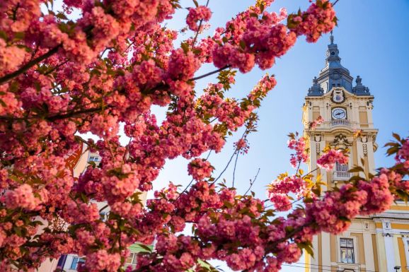 Szép tavaszi időre számíthatunk a május 1-jei hétvégén 
