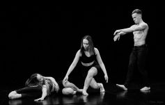 Videón a szatmári társulat tánc világnapja alkalmából készült etűdje