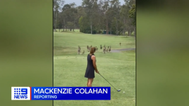 Agresszív kenguru lökött fel és taposott meg egy golfozót