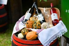 Otthonra talált a bor a Károlyi-kastélyban