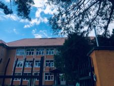 Vihar után: több mint 3 millió lejnyi állami támogatást igényel Bihar megye