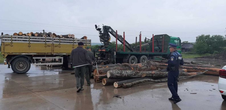 Börtön járhat a falopásért