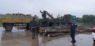 Börtön járhat a falopásért