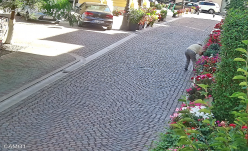 Szatyorba „szedegette” a püspöki palota kertjének virágait egy idős asszony