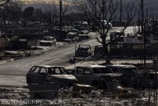 Mauin lassan halad a tűzvész utáni romok átkutatása