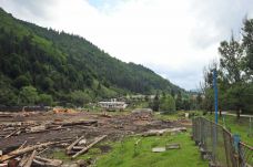 Túlzottnak tartja az erdészeti törvénykönyv tervezetében szereplő szankciókat a faipari szövetség