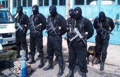 Csapást mért a rendőrség a szervezett bűnözésre