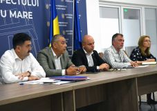 Kutyamenhelyeket létesítenének Szatmár megyében