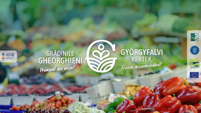 Hétvégén újra termelői vásárt tartanak Kolozsváron