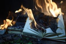 A demokrácia vadhajtásai