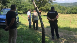 Bocsait védő anyamedve támadt egy pásztorra Máramarossziget közelében