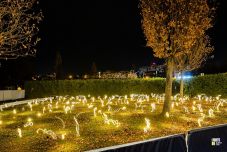 Szentjánosbogár-rajzást idéző fényjáték a sepsiszentgyörgyi parkban