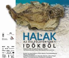 Őslénytani kiállítás nyílik Marosvásárhelyen – Halak az ősi földtörténeti időkből