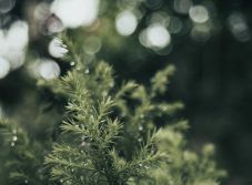 Enyhe idő, sok csapadék: ilyen szilvesztert jósolnak