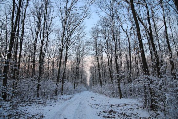 Hóviharok várhatók a hegyekben, Erdélyben felerősödik a szél