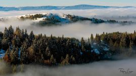 A MOL Románia és a Polgár-Társ Alapítvány több mint 800 ezer lej értékű támogatást nyújt környezetvédelmi projektekre 