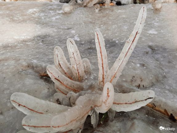 Elképesztő jégszobrok nőnek a Balatonnál