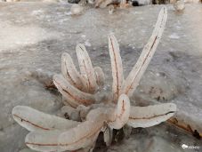 Elképesztő jégszobrok nőnek a Balatonnál