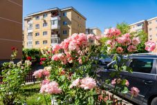 Sepsiszentgyörgyön megduplázták a zöldövezetek szépítésre szánt támogatást