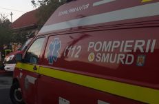 Újabb halálos kutyatámadás történt Bukarestben