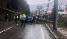 Fenyőfa dőlt az útra, egy autó belerohant – Lezárták az ország egyik legforgalmasabb országútját 