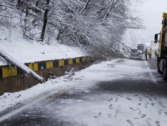 Kolozs megye: az utakra dőlt fák megbénították a közlekedést