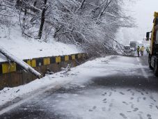 Kolozs megye: az utakra dőlt fák megbénították a közlekedést