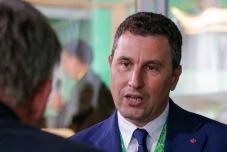 Tánczos Barna: Szó sincs arról, hogy az állam erdői magánvállalkozásokhoz kerülnének