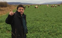 Létkérdés a szarvasmarhatartóknak az Európai Bizottságtól „kicsikart” támogatás