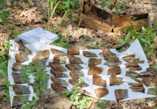 Második világháborús lőszereket találtak Magyarsároson