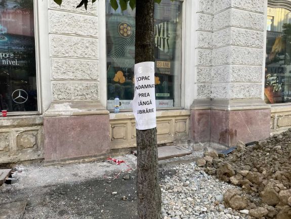 Éjfélig vitáztak a kolozsváriak a Farkas utcai fák elszállítása miatt