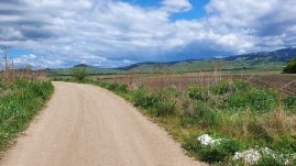 Gyergyószentmiklósi prioritások: fesztivál vagy terelőút?