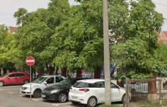 Fakivágások ellen tiltakoznak Nagyváradon