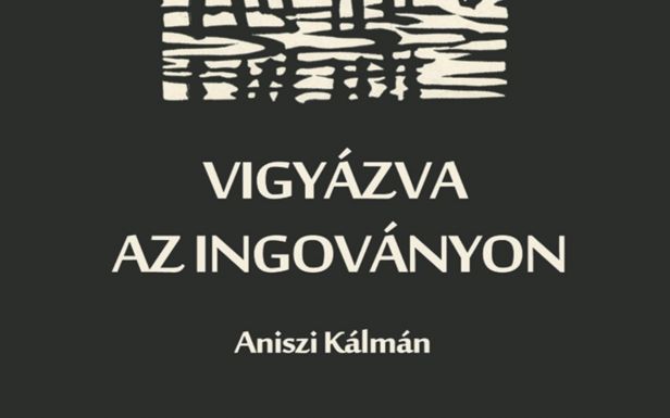 Vigyázva az ingoványon – Könyvbemutató a nagyváradi színészmúzeumban