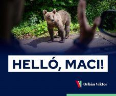 Orbán Viktor találkozott a medvével