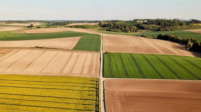 Az ingyenes földmérés után több gazdának a valóságosnál kisebb lett a telke