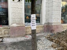 Mégsem viszik el az Egyetem utcai fákat