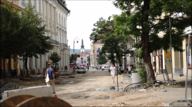 Eredményes volt a civil összefogás: megmenekülnek az Egyetem utca fái (VIDEÓ)