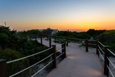 Hőség és erdőtüzek Dél-Olaszországban