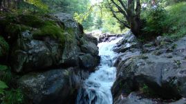 Víz nélkül maradtak a Bihar megyei üdülőfalu panziói